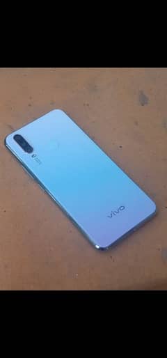 vivo