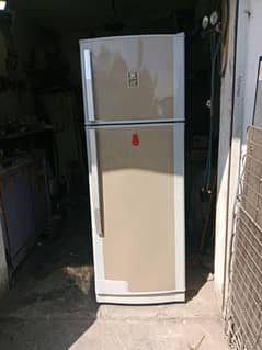 Dwalance Fridge For Sell