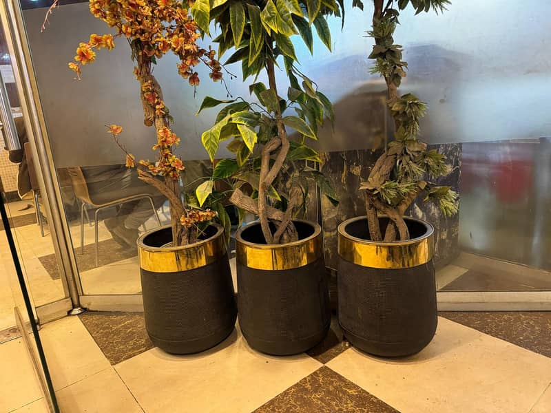 Stainless steel planter | Planter Golden | Golden Flower Pot | Gamla 5