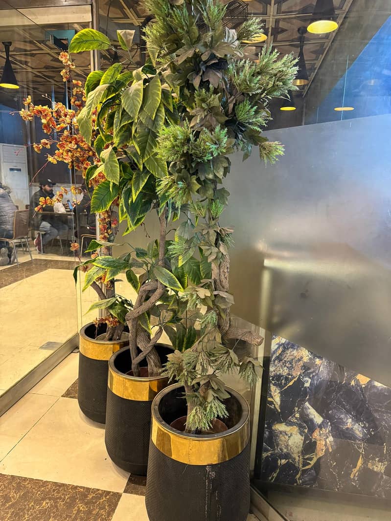 Stainless steel planter | Planter Golden | Golden Flower Pot | Gamla 6