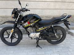 YAMAHA YBR 125 G 2020 (0302-5328032)