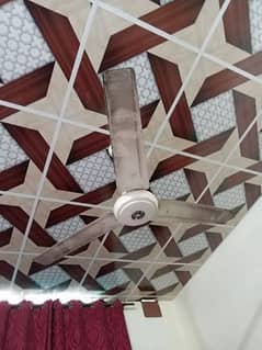 Ceiling Fans