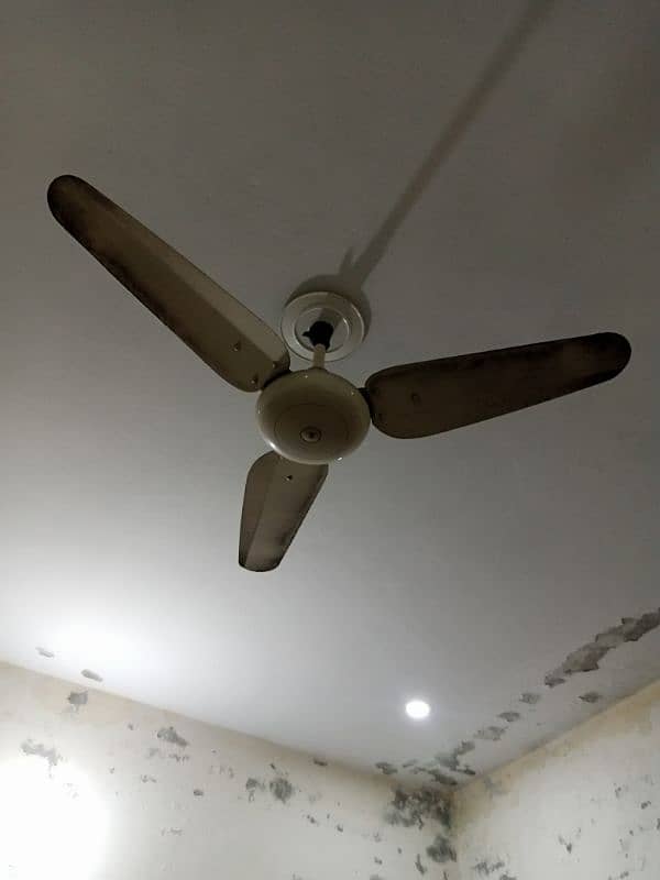 Ceiling Fans 2