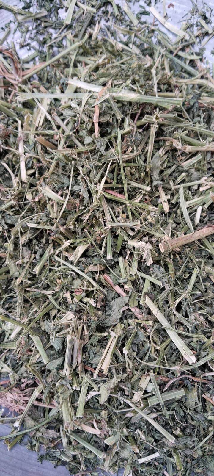 Alfalfa Hay ( Dry Losan ) 1