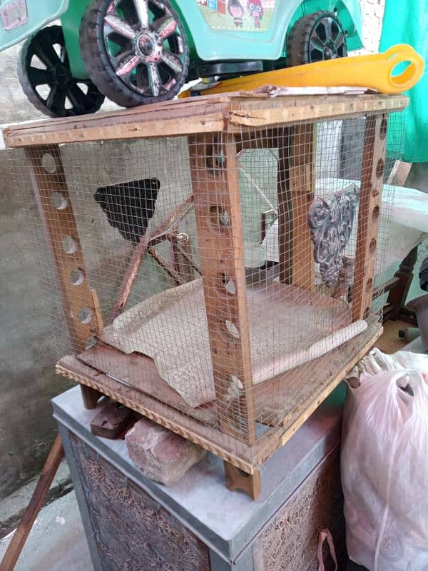 bird Cage 2