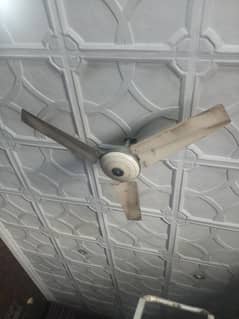 celling fan