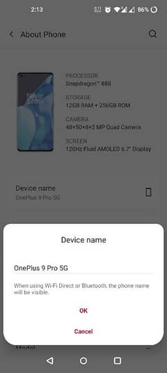 One Plus 9 Pro 5G