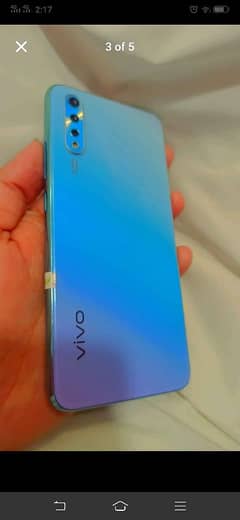 Vivo