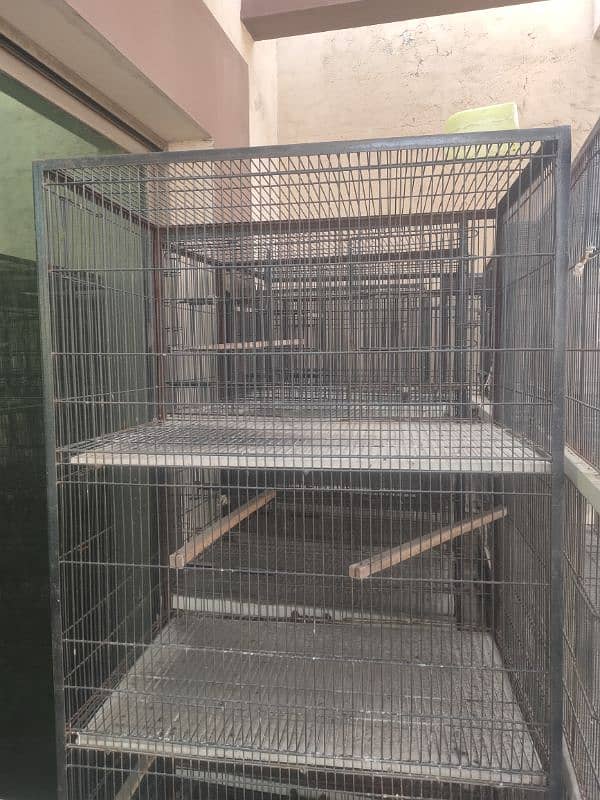 cages for sale 2