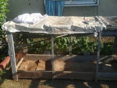 hen cage wooden xxl