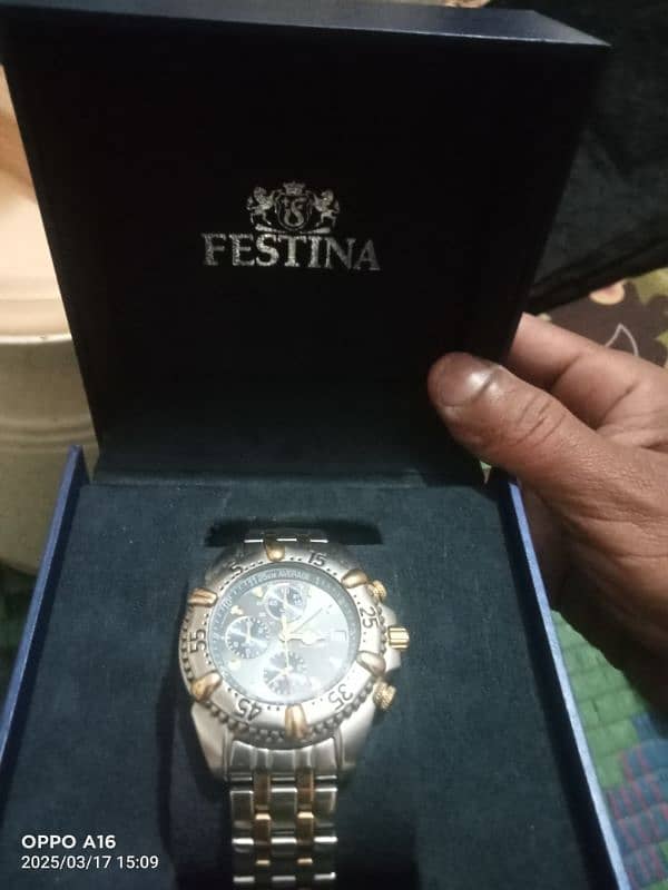 festina 2