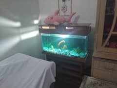 aquarium urgent for sale only serious buyers