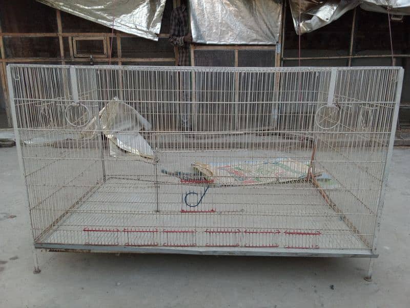 Cage for sell 7