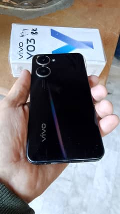 vivo