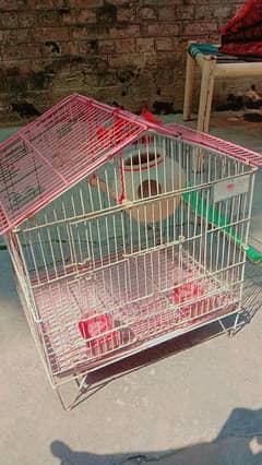 bird cage