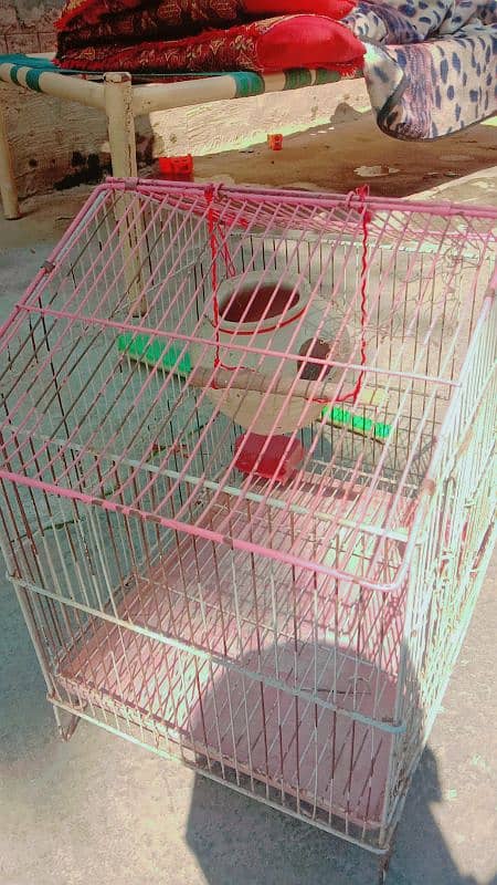 bird cage 1