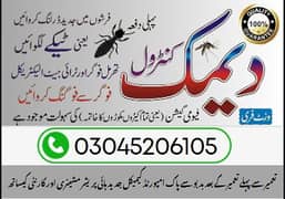 Pest Control Services Termite Control Deemak Control Fumigation Spray