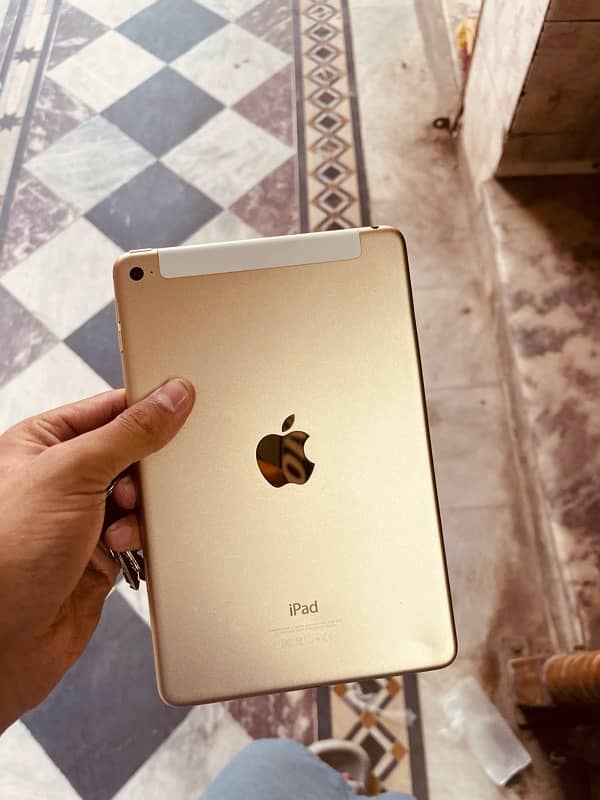 ipad mini 4 1