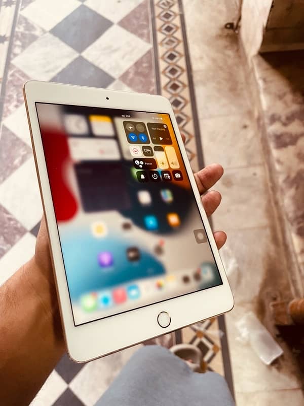 ipad mini 4 2