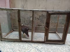 cage for sale Whatsapp number 03498209415