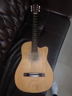 Hi Voltz Acoustic Guitar