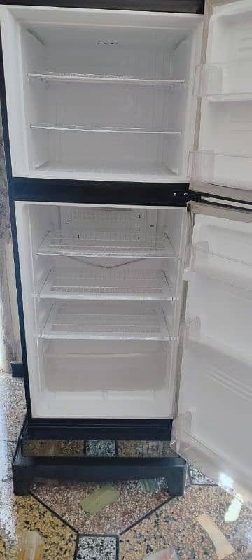 PEL fridge 5