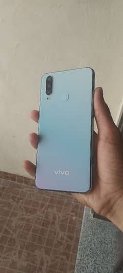 vivo