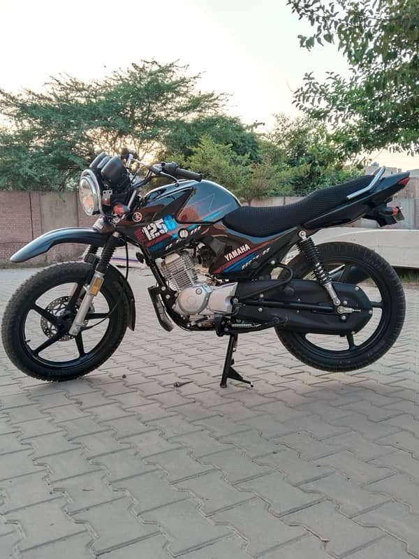 YBR 125g 3