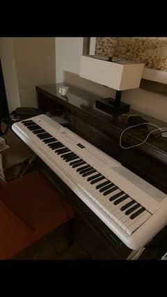 Steiner Digital Piano weighted Key