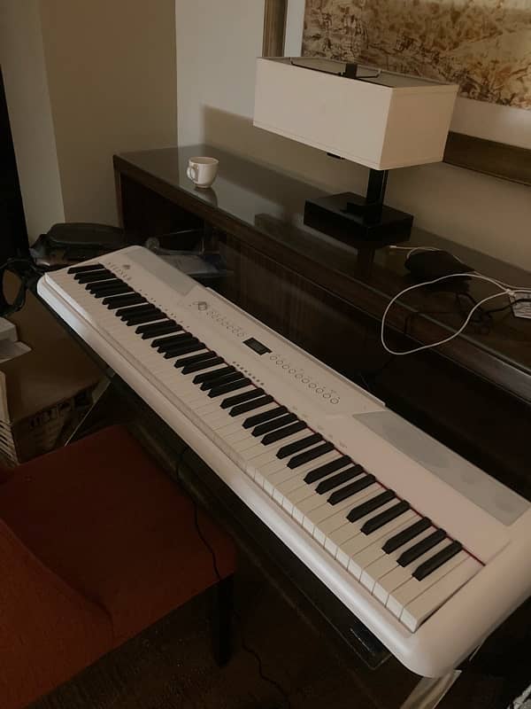 Steiner Digital Piano weighted Key 1