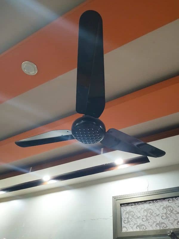 Fan fancy 1