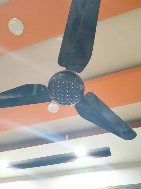 Fan fancy 2