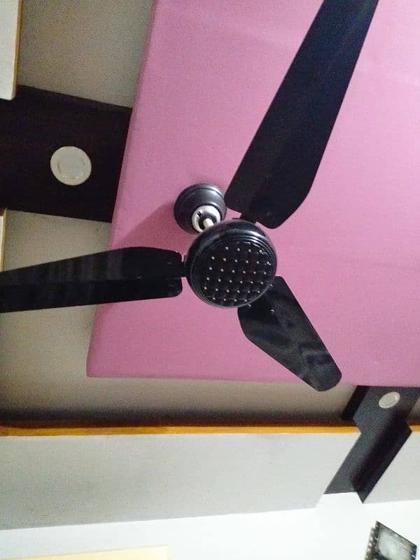 Fan fancy 3