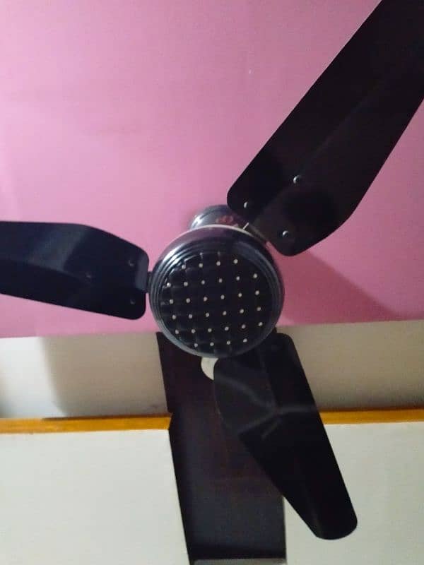 Fan fancy 4