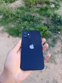 iphone 12  64gb