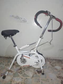 Exercise cycle