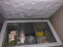 Haier Freezer