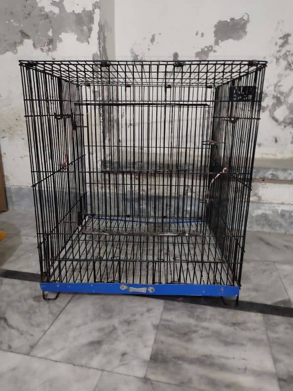 Bird's Cage 2*2*2 0