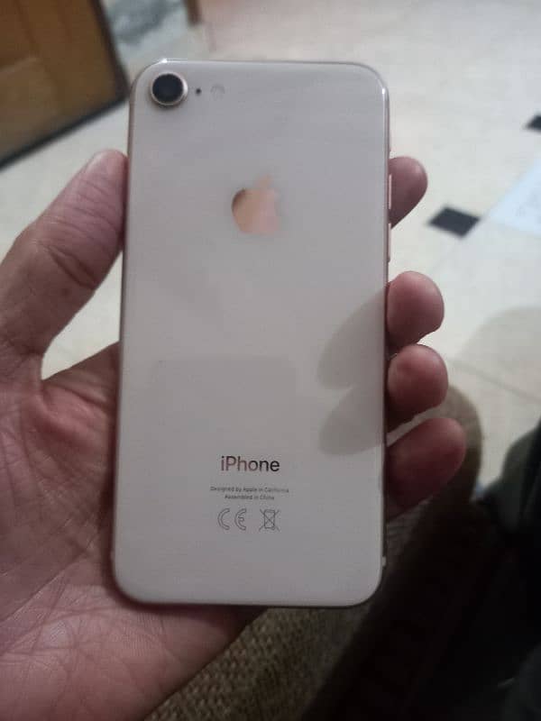 iphone 8 64gp pta approved condtion 10/10 waterpack 1