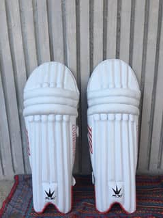 Cricket batting pads