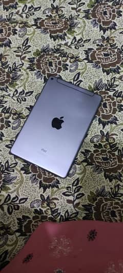 Ipad Mini 5