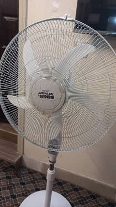 Fan