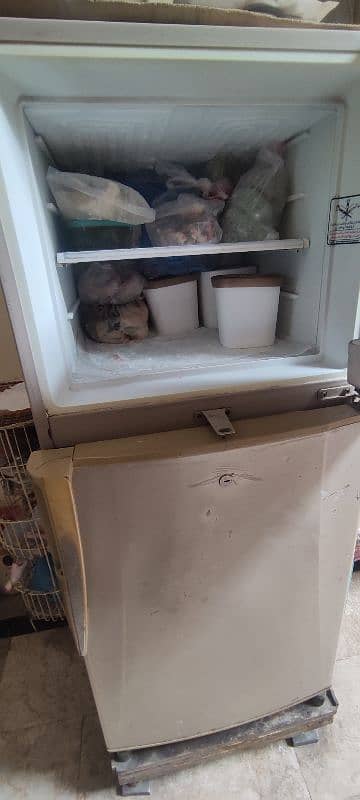 Medium size fridge 2