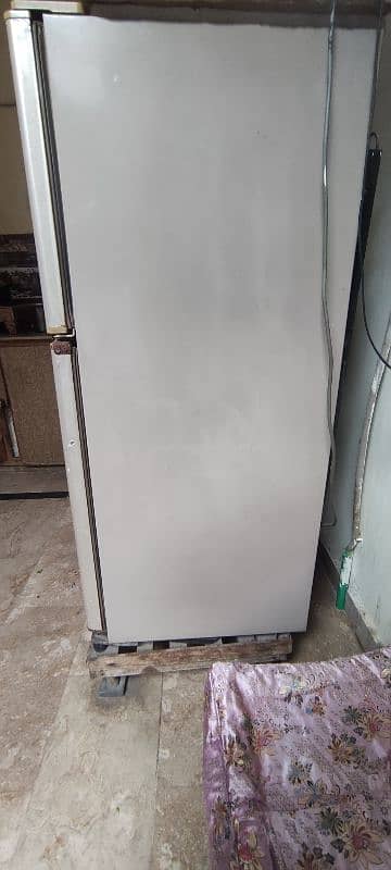 Medium size fridge 4