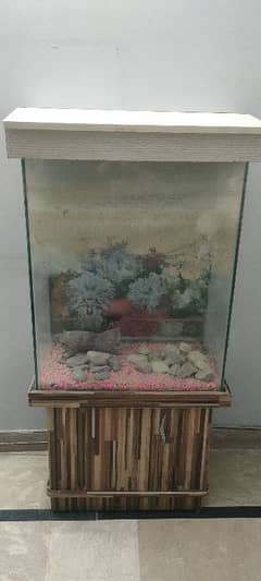 Aquarium