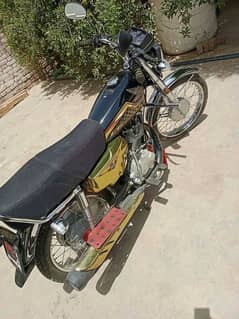 Honda 125 Gold 2024