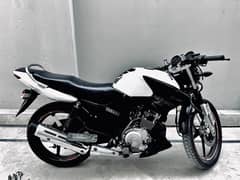 yamaha vbr G 2019 model