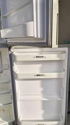 X-l size fridge