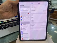 Ipad pro 11 inch m4 chip 512 gb premium condition