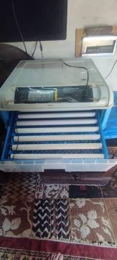 64 & 128 Eggs Automatic Incubator AC/DC